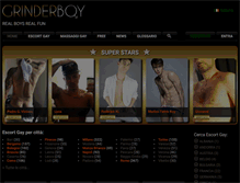 Tablet Screenshot of grinderboy.com